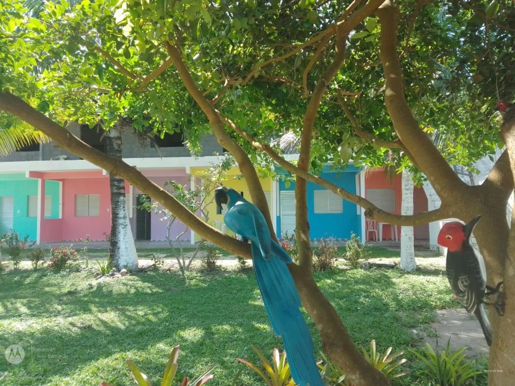 Pousada Praia De Tairu Armacao do Tairu Dış mekan fotoğraf